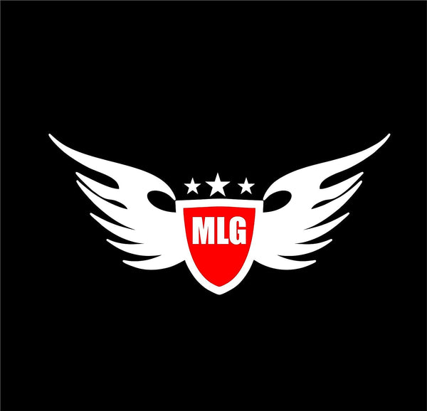 wings logo mlg royal enfield stickers 