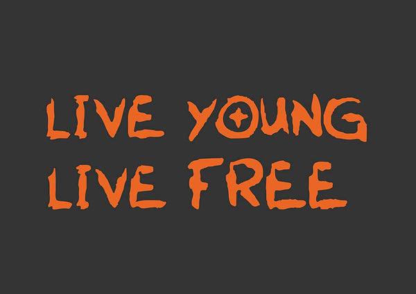 4x4 Stickers Live Young Live Free Orange Decals (22 X 20 Cms)