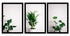 Woopme Combo Plant Synthetic Wood Wall Hanging Photo Frame for Home, Restuarant, Bedroom, Office